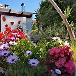 Casa Susa Pensionat