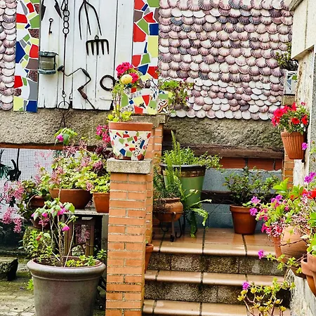 Casa Susa Pensionat 4*